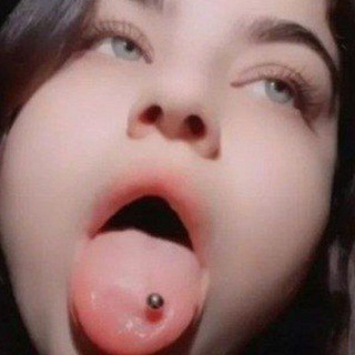 Arαуış Rєкℓαм