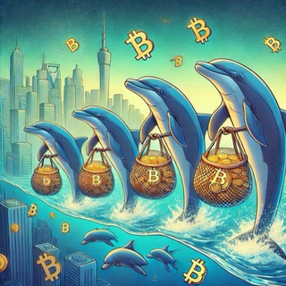 Crypto Dolphin Group