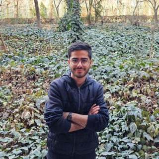 Amirhosein Alimardani