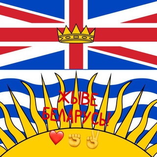 🤍❤️🤍 BelBC Chat & Comments 💙💛