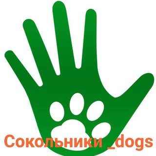 Сокольники_Dogs🐶