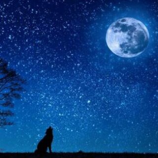 👻🖤⛓MOONLIGHT⛓🖤👻