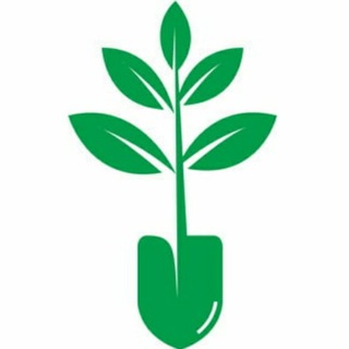 Интенсив багбанчылык kg