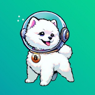 Bitchcoin