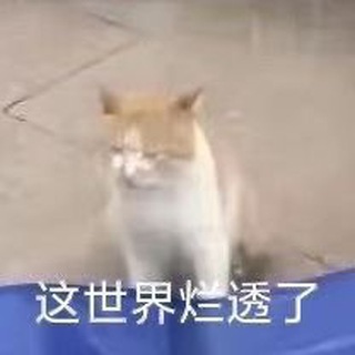 橘子综合资源分享中心