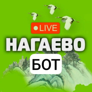 Предложка Новости Нагаево