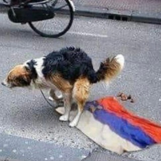 Висєри русні 💩