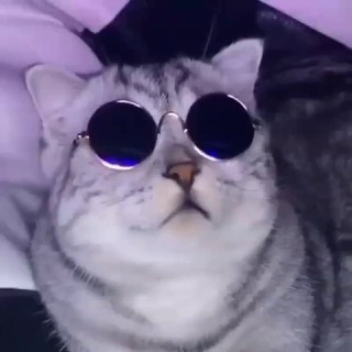 𝙞𝙣𝙘𝙤𝙜𝙣𝙞𝙩𝙖