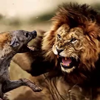 کفتاریاب محلات