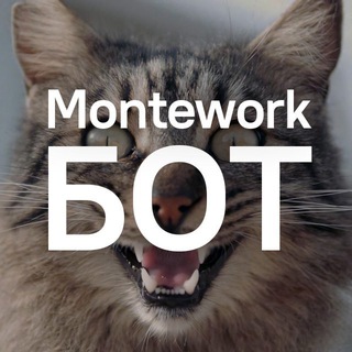 Добавить вакансию бесплатно в montework (Черногория)