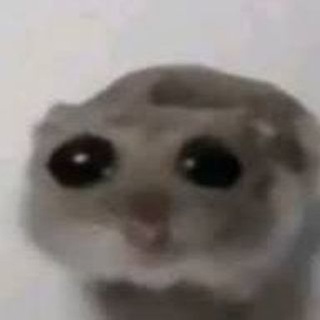 Соловей Голда Бот