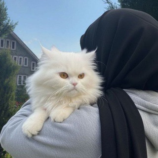 𝐂𝐒 𝐅𝐀𝐑𝐇𝐀𝐍𝐀™🇵🇸