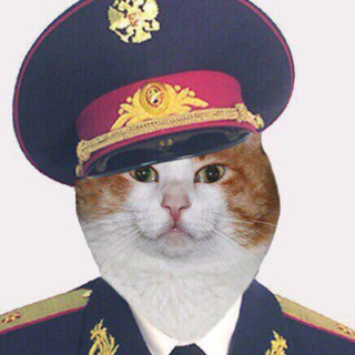 Дежурный Кот 🐈‍⬛