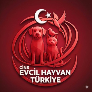 🇹🇷ℂİℕ𝕊 𝔼𝕍ℂİ𝕃 ℍ𝔸𝕐𝕍𝔸ℕ🇹🇷 𝕋Üℝ𝕂İ𝕐𝔼🇹🇷