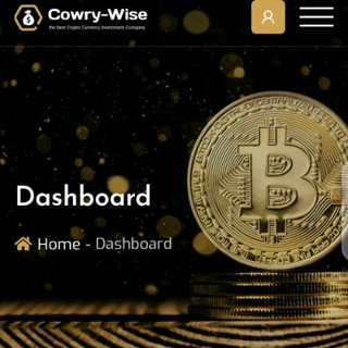 Bitcoin investment company
