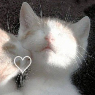 кайбио ❤️‍🩹