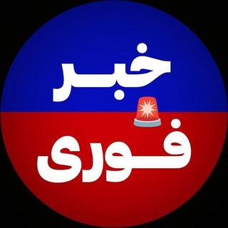 کانال خبری/ اخبار قیمت دلار🚨