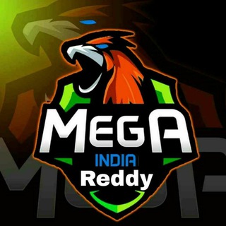 Reddy ⚡️