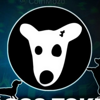 DOGS Insider: TON Token Insights