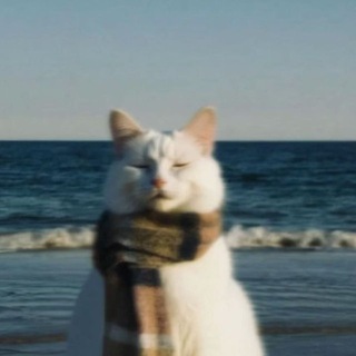 ~Yellow Eye~