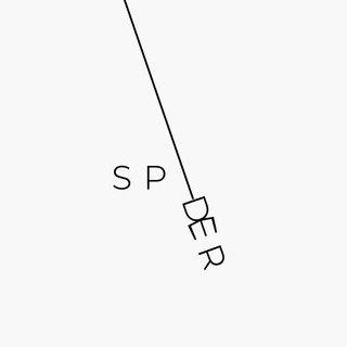 Spider 🕸️