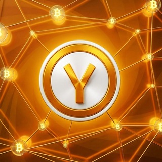 Y의 매매일지