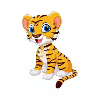 BNBTiger Global Group