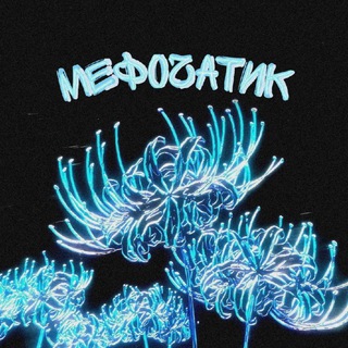 МефоЧат