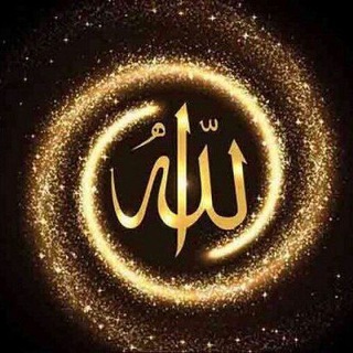 سید هاشمی
