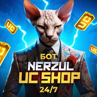 NERZUL UC 24/7