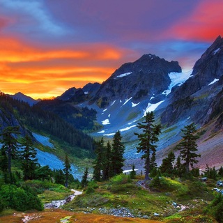 Best Wallpapers