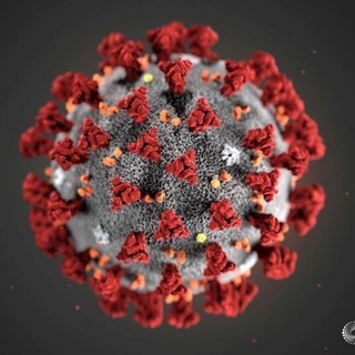 קבוצת הדיונים על וירוס הקורונה - coronavirus/COVID-19