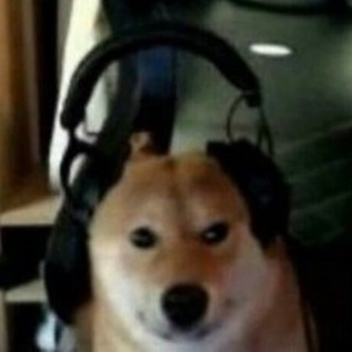 Barking Store Chat