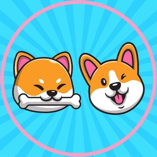 ShibaCorgi Official