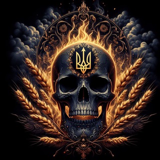 Radarnews⚜️