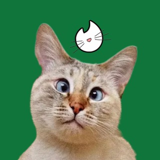 Котиндрик