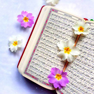 ❤پستی ها و رضایت مشتری محمدی ❤