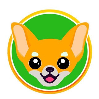 ChiHuaHua Community Global 🐶🚀