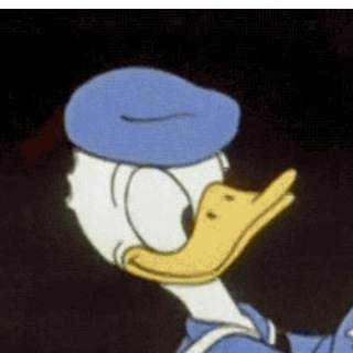 MRDUCK CHAT V1