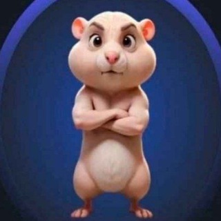 Hamster VPNs