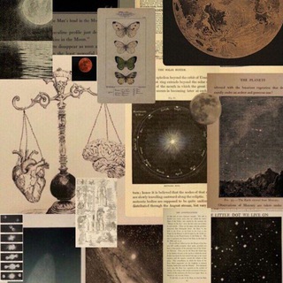 Metacognition~