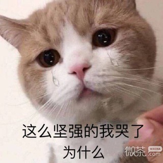 骗局档|东南亚一起曝光