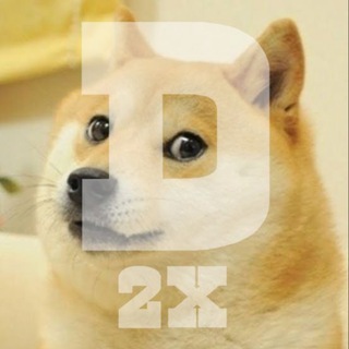 DOGE 2X