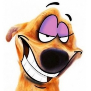 Funny Animals