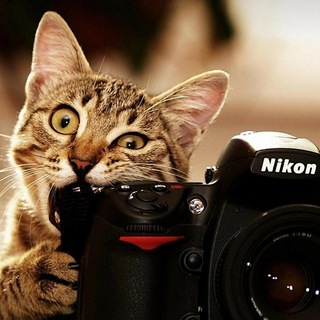 Фотосъёмки, тусовки, риветхеды, друзья, яркие моменты и события в моей жизни))
