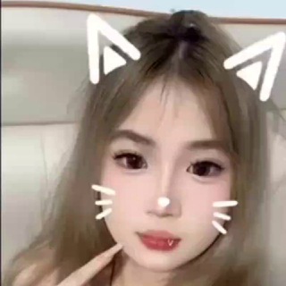 经销商 @gvlink1 中国