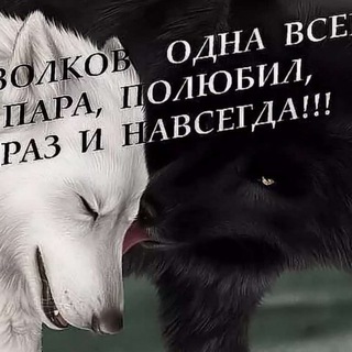 MoDeRn FrIeNdS😎