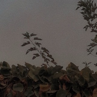 🤍🌿