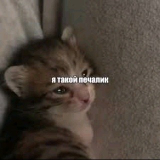 Средневековья