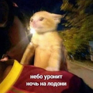 Лола Древис